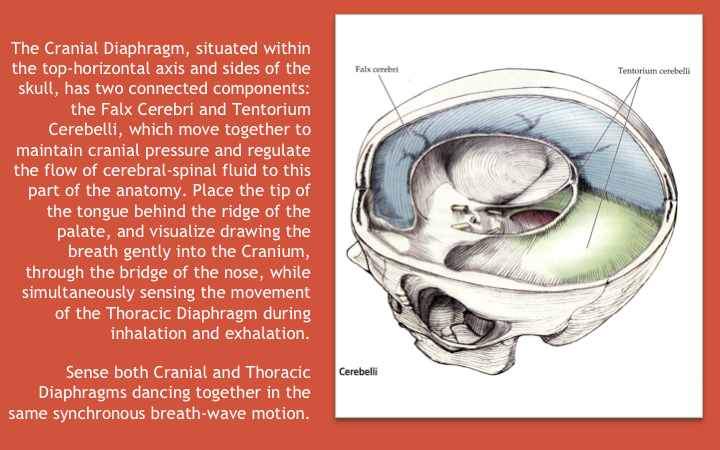 Slide20