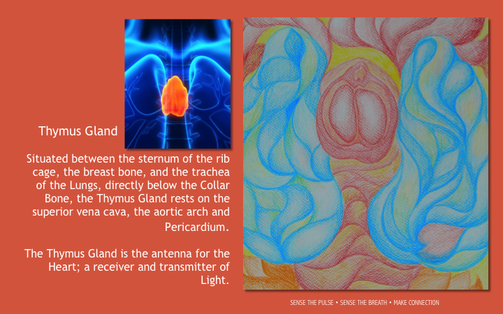 Slide35