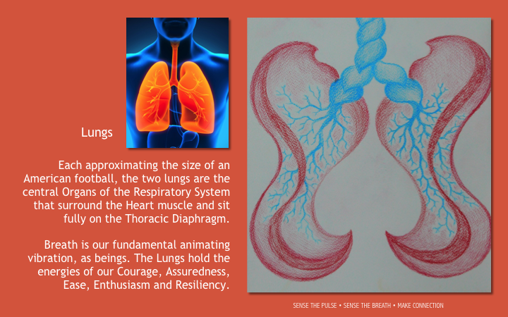 Slide37