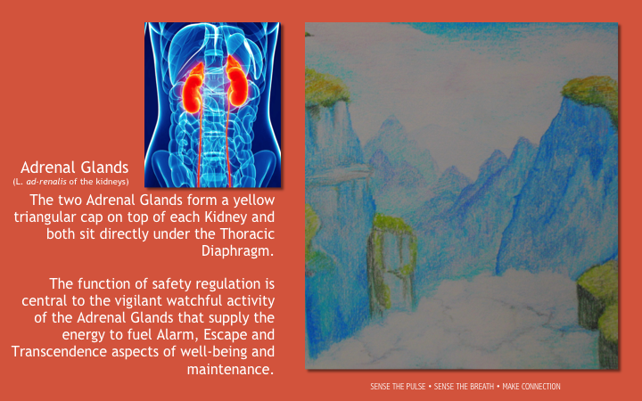 Slide51