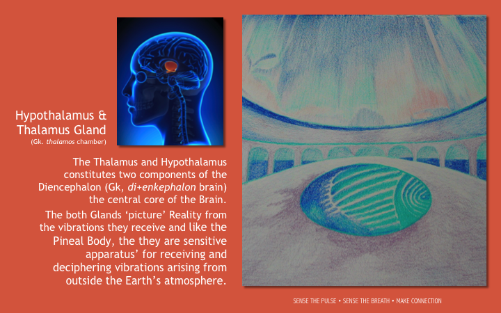 Slide55