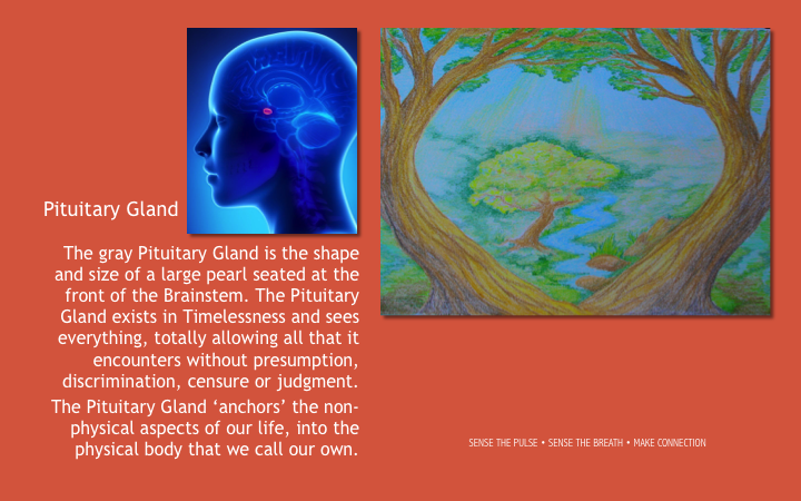 Slide57